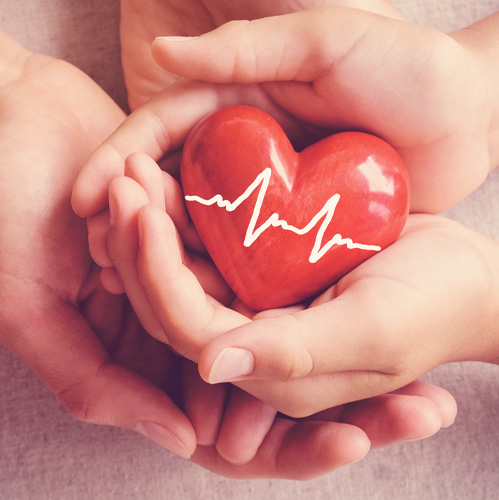 set of hands holding a plastic heart with a heartbeat design
