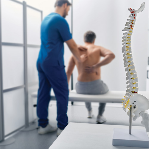 physical therapist examines a patient's spine to determine the extent of the spinal cord injury